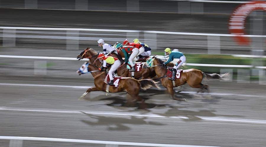 Siverek Belediye Başkanlığı Koşusu’nu Payidar Kaya kazandı