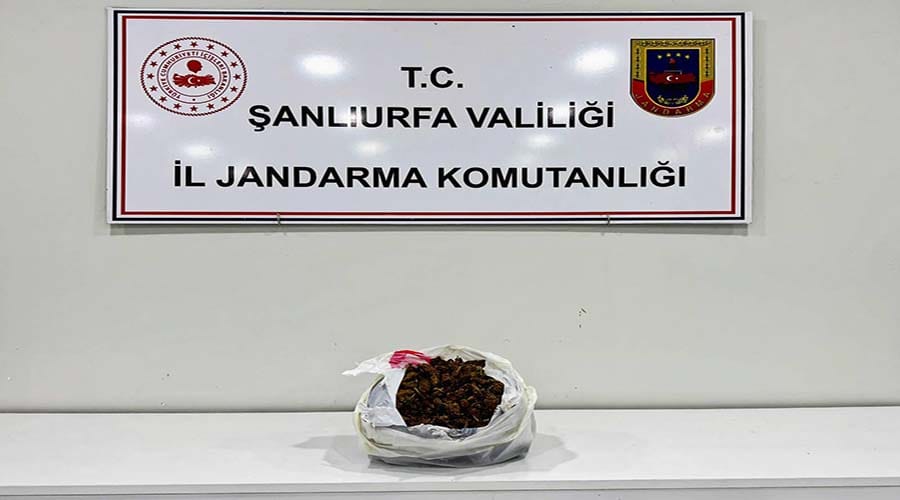 Narkotik operasyonunda 1 kilo skunk ele geçirildi