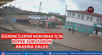 Öğrencilerini korumak için köpeklerin kavgasına müdahale etti