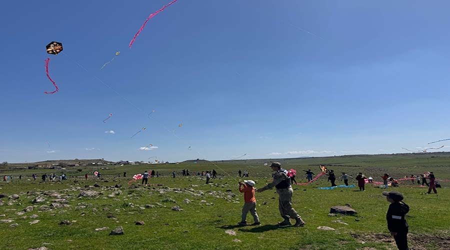 Siverek'te uçurtma şenliği düzenlendi