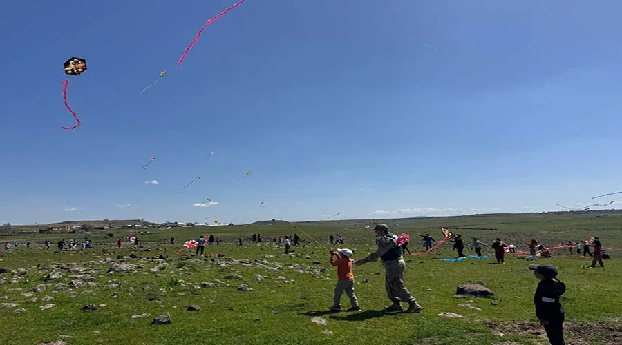 Siverek'te uçurtma şenliği düzenlendi