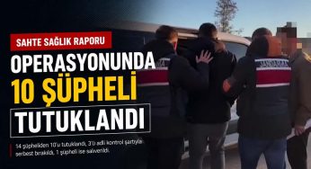 Siverek’te ‘sahte çürük raporu’ operasyonu