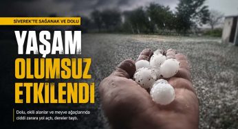 Siverek’te sağanak ve dolu yaşamı olumsuz etkiledi