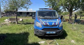 Siverek’te yılanı vurmak isterken ailesini yaraladı