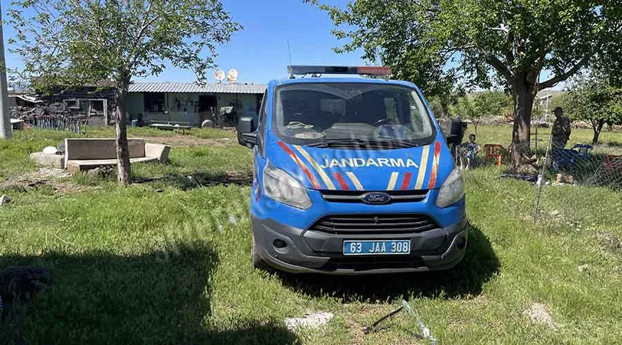 Siverek’te yılanı vurmak isterken ailesini yaraladı
