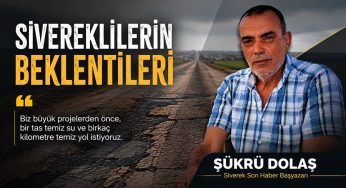 Sivereklilerin beklentileri