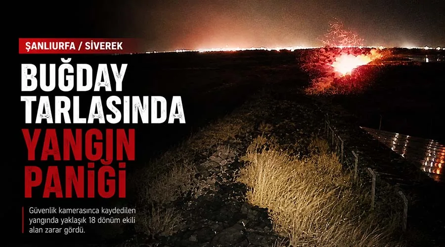 Siverek’te buğday tarlasındaki yangın güvenlik kamerasına yansıdı