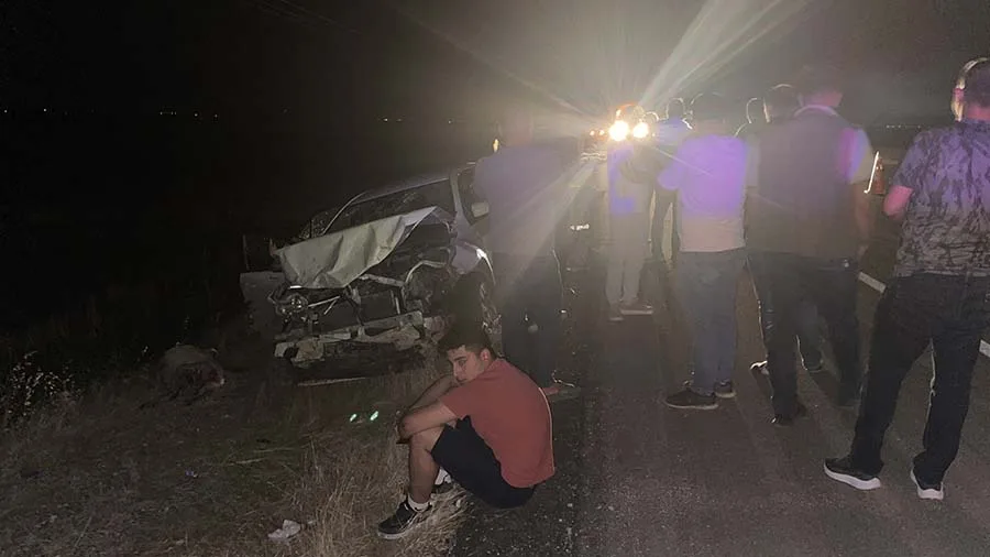 Siverek’te otomobil koyun sürüsüne daldı: 3 yaralı, 11 hayvan telef oldu